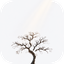 Favicon de invierno