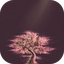 Favicon de primavera