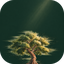 Favicon de verano