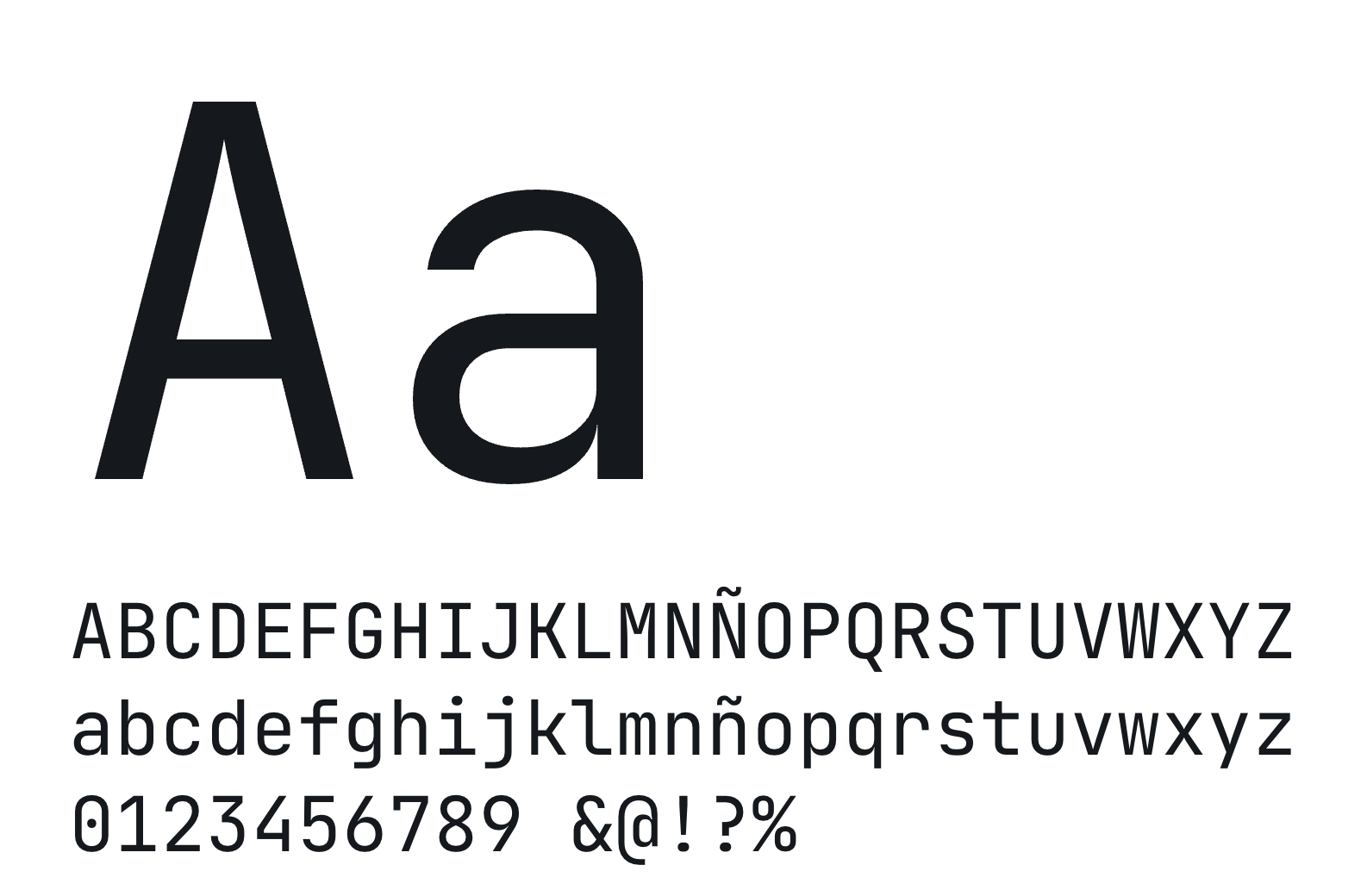 JetBrains Mono specimen